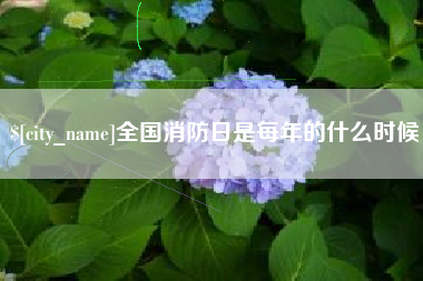 保亭全国消防日是每年的什么时候