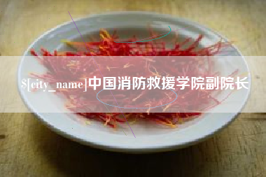 保亭中国消防救援学院副院长