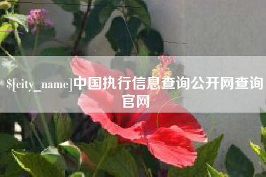 保亭中国执行信息查询公开网查询官网