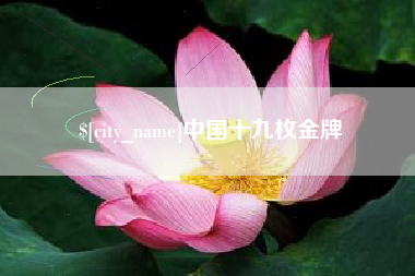 保亭中国十九枚金牌