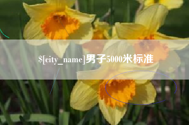 保亭男子5000米标准