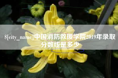 保亭中国消防救援学院2019年录取分数线是多少