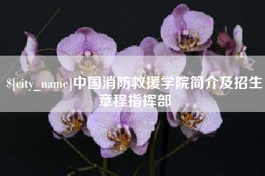 保亭中国消防救援学院简介及招生章程指挥部