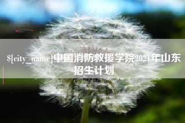 保亭中国消防救援学院2021年山东招生计划