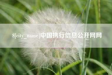 保亭中国执行信息公开网网