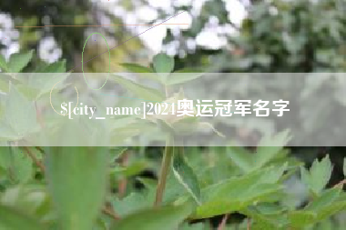 保亭2024奥运冠军名字