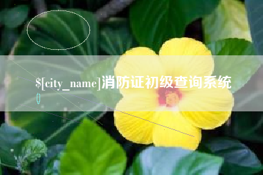 保亭消防证初级查询系统