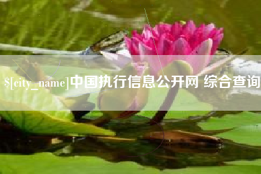 保亭中国执行信息公开网 综合查询