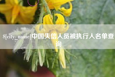 保亭中国失信人员被执行人名单查询