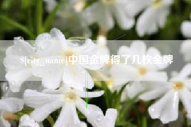 保亭中国金牌得了几枚金牌