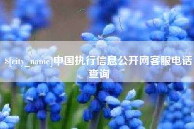 保亭中国执行信息公开网客服电话查询