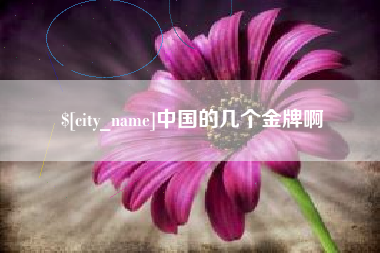 保亭中国的几个金牌啊