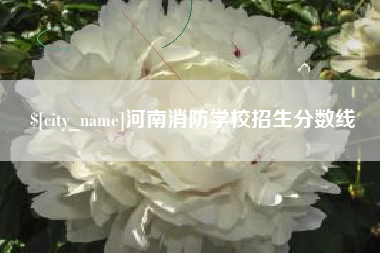 保亭河南消防学校招生分数线