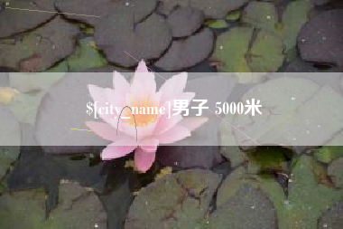 保亭男子 5000米