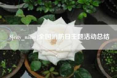 保亭全国消防日主题活动总结