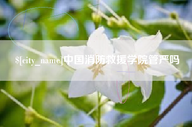 保亭中国消防救援学院管严吗