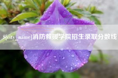 保亭消防救援学院招生录取分数线