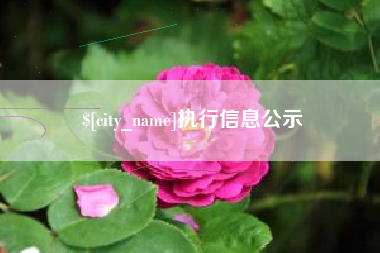 保亭执行信息公示