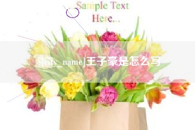 保亭王子豪是怎么写