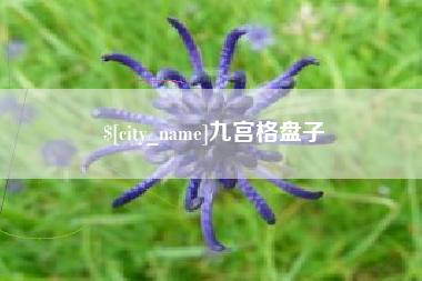 保亭九宫格盘子