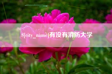 保亭有没有消防大学