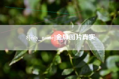 保亭金牌图片真实
