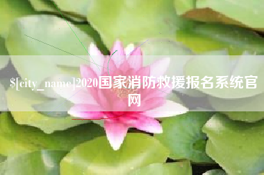 保亭2020国家消防救援报名系统官网