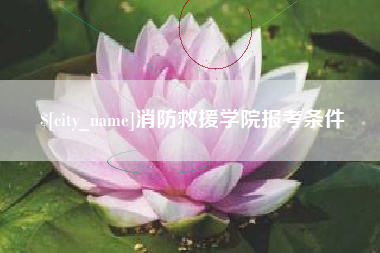 保亭消防救援学院报考条件