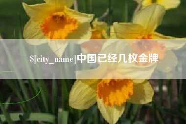 保亭中国已经几枚金牌