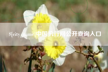 保亭中国执行网公开查询入口