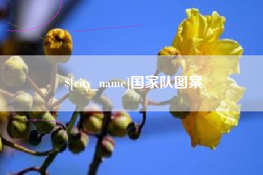 保亭国家队图案