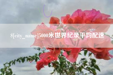 保亭5000米世界纪录平均配速