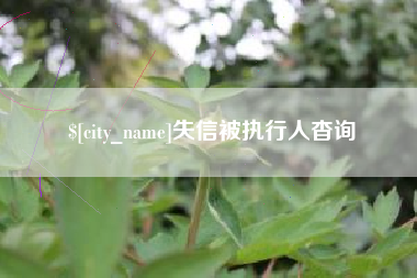 保亭失信被执行人杳询