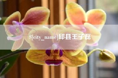 保亭邱县王子磊