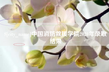 保亭中国消防救援学院2020年录取结果