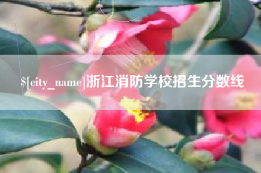 保亭浙江消防学校招生分数线