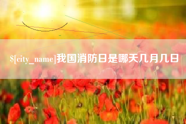 保亭我国消防日是哪天几月几日