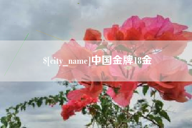 保亭中国金牌18金