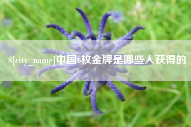 保亭中国6枚金牌是哪些人获得的