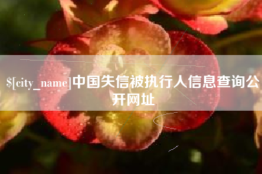 保亭中国失信被执行人信息查询公开网址