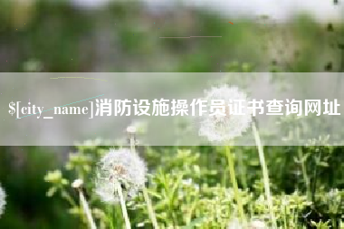 保亭消防设施操作员证书查询网址