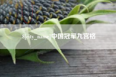 保亭中国冠军九宫格