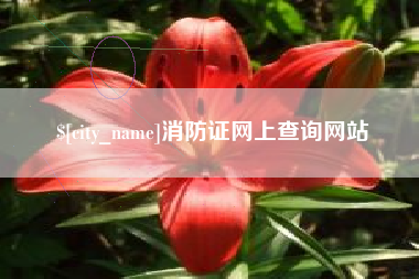 保亭消防证网上查询网站