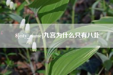 保亭九宫为什么只有八卦