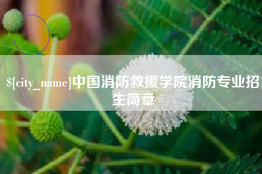 保亭中国消防救援学院消防专业招生简章