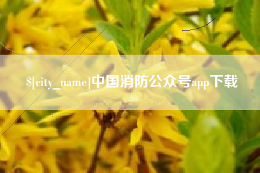 保亭中国消防公众号app下载
