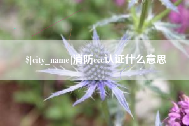 保亭消防ccc认证什么意思