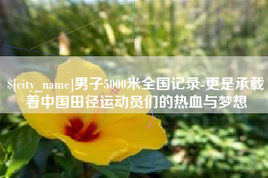 保亭男子5000米全国记录-更是承载着中国田径运动员们的热血与梦想