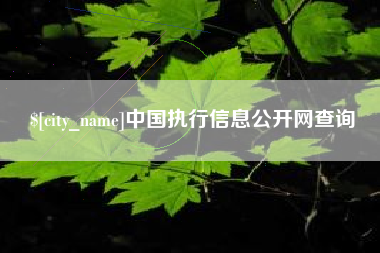 保亭中国执行信息公开网查询