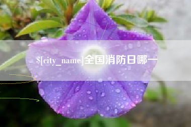 保亭全国消防日哪一